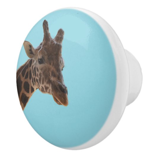 Giraffe trekknop keramische knop (Rechts)