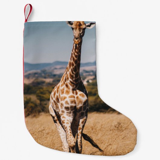 GIRAFFE UITGESCHAKELD MET BROWN GRASS KLEINE KERSTSOK (Voorkant)