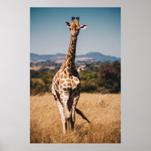 GIRAFFE UITGESCHAKELD MET BROWN GRASS POSTER