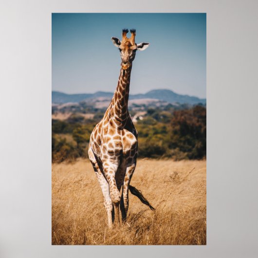 GIRAFFE UITGESCHAKELD MET BROWN GRASS POSTER (Voorkant)