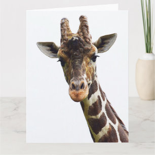 Giraffe van boven grote wenskaart kaart