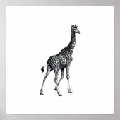 Giraffe van het volledige lichaam van het dier  te poster (Voorkant)