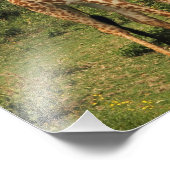 Giraffe van hoge kwaliteit in Struik Foto Afdruk (Hoek)