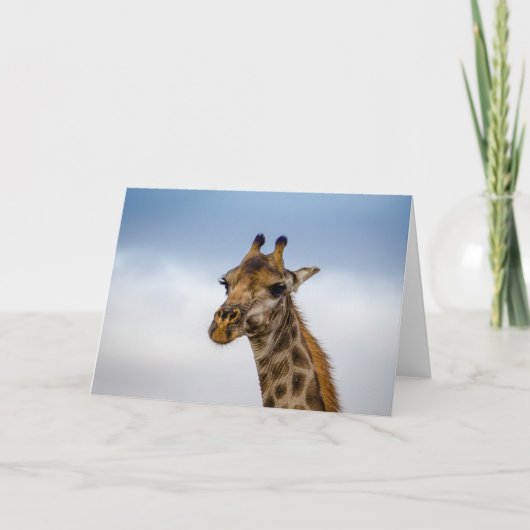 Giraffe van Zuid-Afrika Kaart (Voorkant)