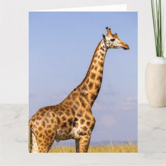 GIRAFFE VERJAARDAG WENSKAART BEDANKKAART