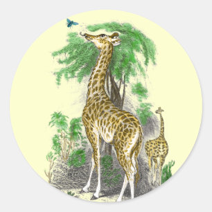 Giraffe-verjaardagsstickers Ronde Sticker