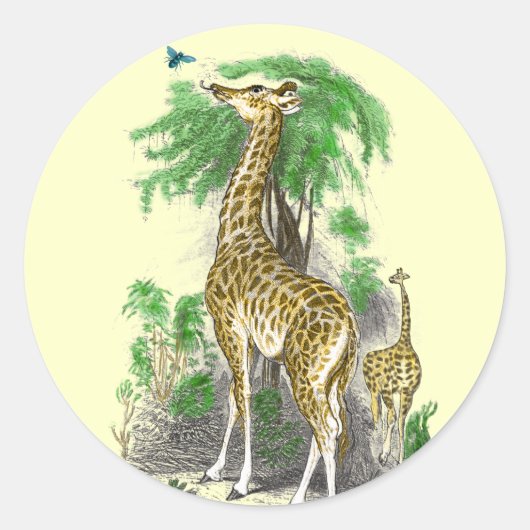 Giraffe-verjaardagsstickers Ronde Sticker (Voorkant)
