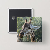 Giraffe Vierkante Button 5,1 Cm (Voorkant /achterkant)
