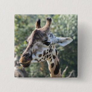 Giraffe Vierkante Button 5,1 Cm