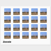 Giraffe Vierkante Sticker (Vel)