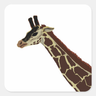 Giraffe Vierkante Sticker