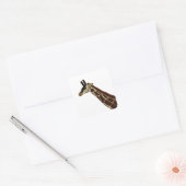 Giraffe Vierkante Sticker (Envelop)