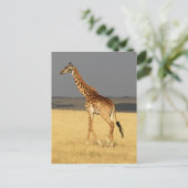 Giraffe volledig lichaam Afrikaanse dieren Briefkaart (Staand voorkant)
