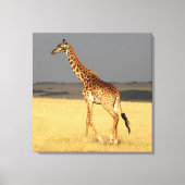 Giraffe volledig lichaam Afrikaanse dieren Canvas Afdruk (Voorkant)