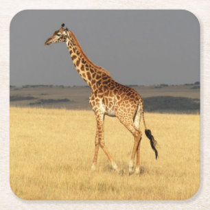 Giraffe volledig lichaam Afrikaanse dieren Kartonnen Onderzetters