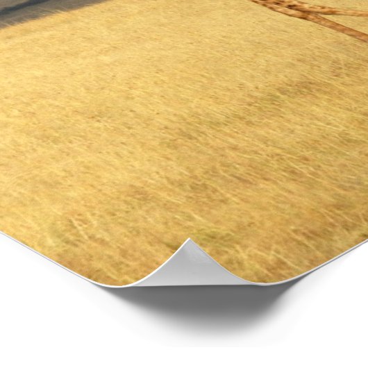 Giraffe volledig lichaam Afrikaanse dieren Poster (Hoek)