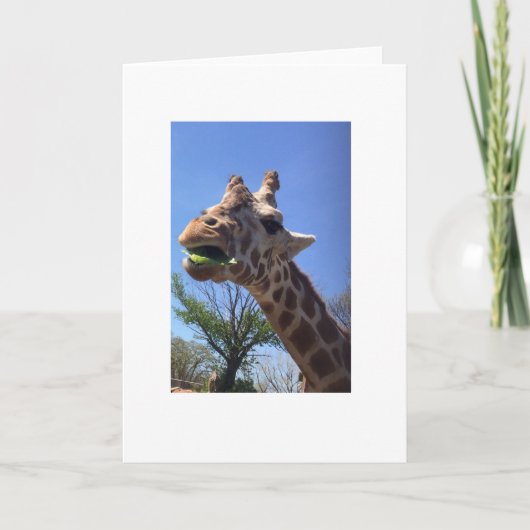 Giraffe Wenskaart Kaart (Voorkant)