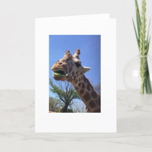 Giraffe Wenskaart Kaart
