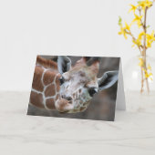 Giraffe Wenskaart Kaart (Gele Bloem)
