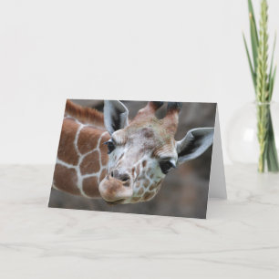 Giraffe Wenskaart Kaart