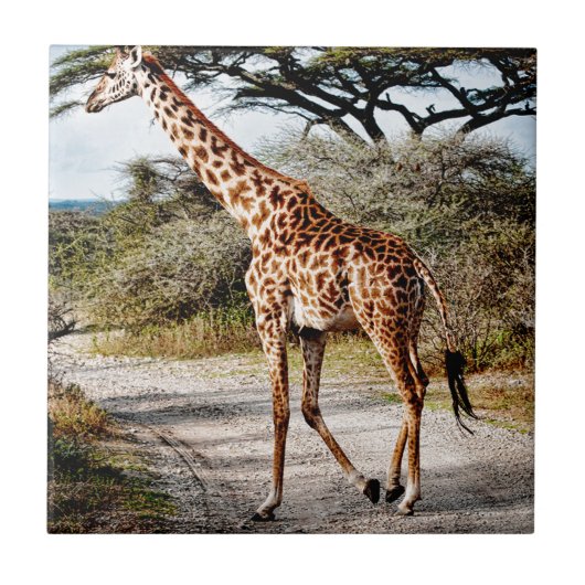 Giraffe Wild Animal Africa patroonafdrukken Tegeltje (Voorkant)