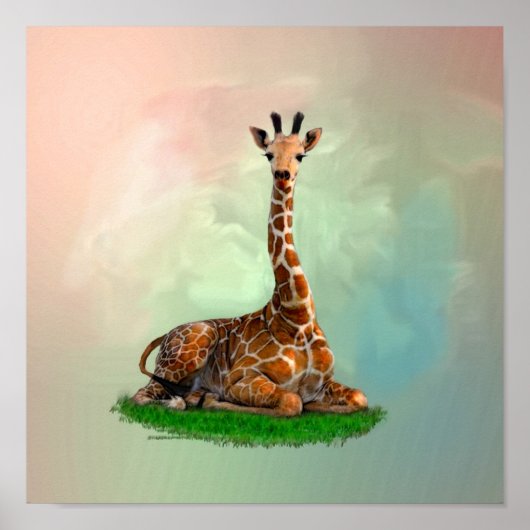 Giraffe Wilde dieren Poster (Voorkant)