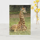 Giraffe Wildlife Kaart (Gele Bloem)