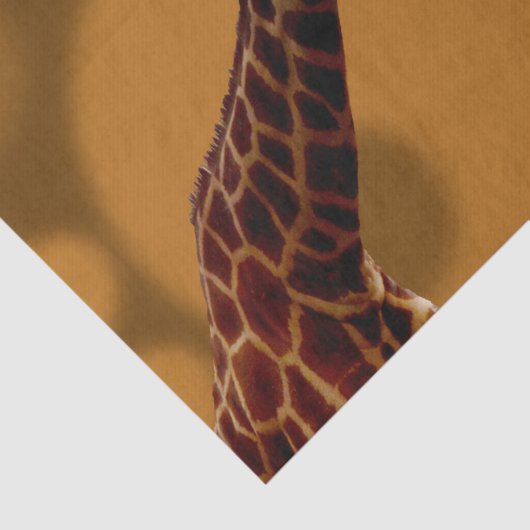 Giraffe zelfreflectie, tissuepapier (Detail)