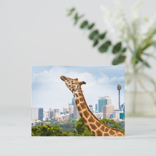 Giraffe zijuitzicht met Sydney Skyline Briefkaart (Staand voorkant)