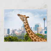 Giraffe zijuitzicht met Sydney Skyline Briefkaart (Voorkant)