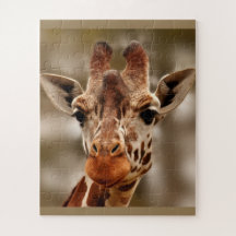 Giraffe Zoo Animal Portret Wild Puzzle