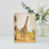 Giraffe, Zuid-Afrika Briefkaart (Staand voorkant)