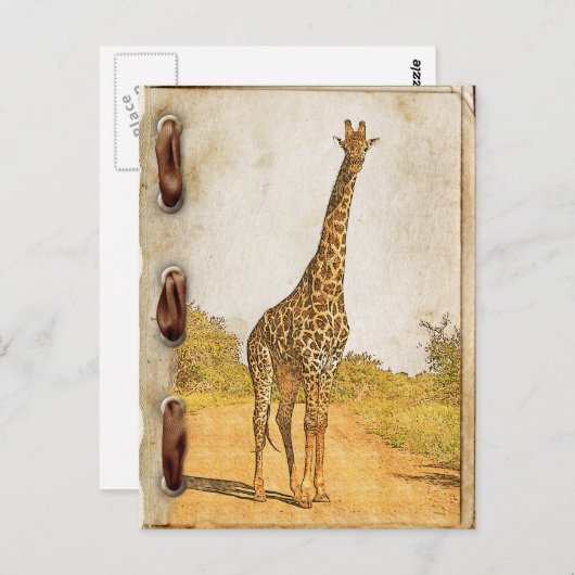 Giraffe, Zuid-Afrika Briefkaart (Voorkant / Achterkant)