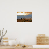 Giraffe Zulu Nyala Game Reserve Zuid-Afrika Poster (Keuken)