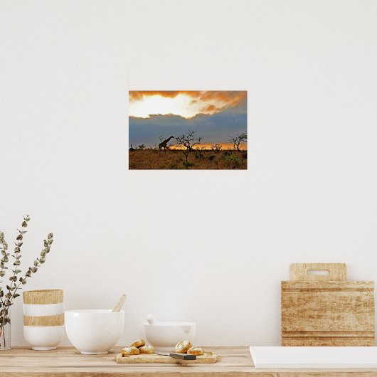 Giraffe Zulu Nyala Game Reserve Zuid-Afrika Poster (Keuken)