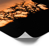 Giraffe Zulu Nyala Game Reserve Zuid-Afrika Poster (Hoek)