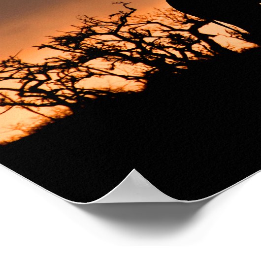 Giraffe Zulu Nyala Game Reserve Zuid-Afrika Poster (Hoek)