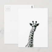 Giraffe zwart-wit briefkaart (Voorkant / Achterkant)