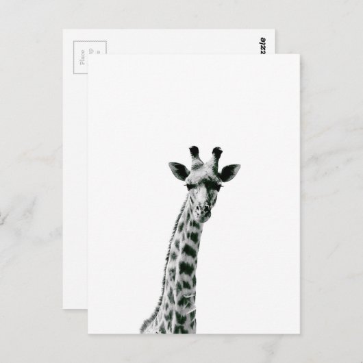 Giraffe zwart-wit briefkaart (Voorkant / Achterkant)