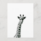 Giraffe zwart-wit briefkaart (Voorkant)