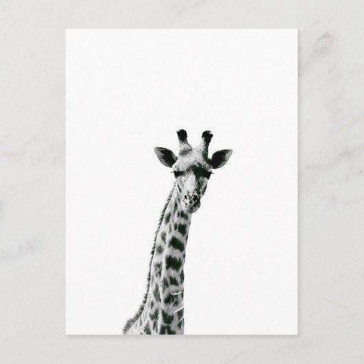 Giraffe zwart-wit briefkaart (Voorkant)