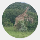 Giraffee Stickers (Voorkant)