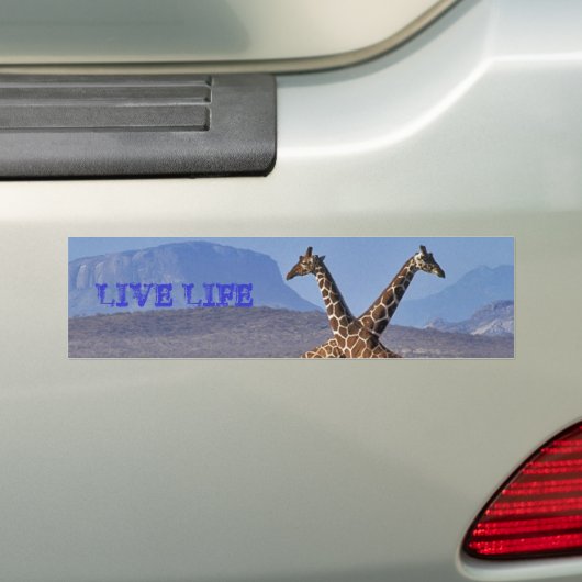 giraffen[1], LEVEN Bumpersticker (Op auto)