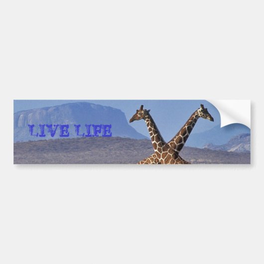 giraffen[1], LEVEN Bumpersticker (Voorkant)