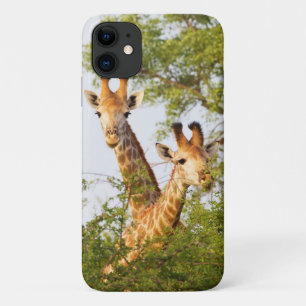 Giraffen die boven de vegetatie uitsteken Case-Mate iPhone case