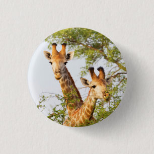 Giraffen die boven de vegetatie uitsteken ronde button 3,2 cm