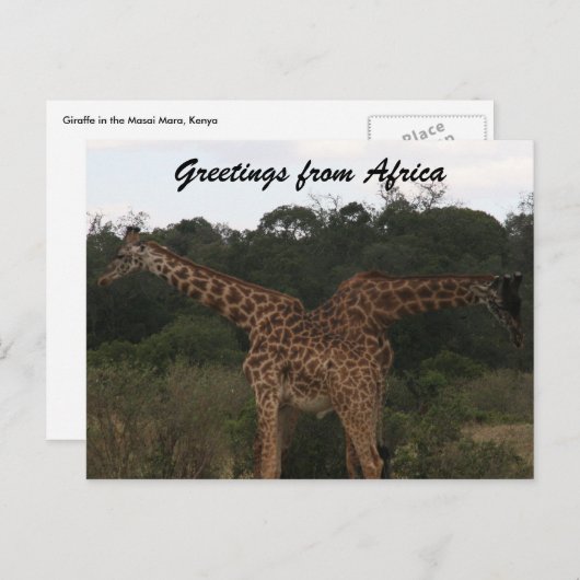 giraffen door afrika briefkaart (Voorkant / Achterkant)
