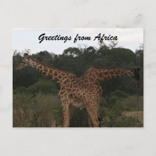 giraffen door afrika briefkaart