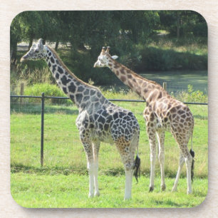 Giraffen Drankjes Onderzetter