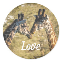 Giraffen in de liefde Sticker
